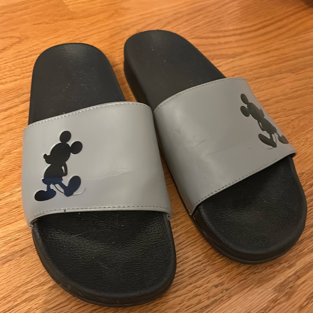 Disney slides